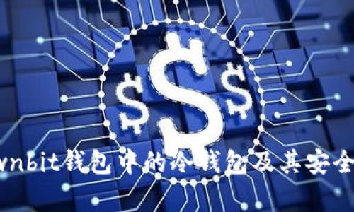 何为Ownbit钱包中的冷钱包及其安全性分析