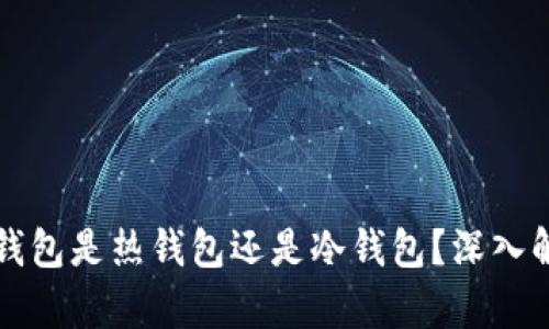 TP钱包是热钱包还是冷钱包?深入解析
