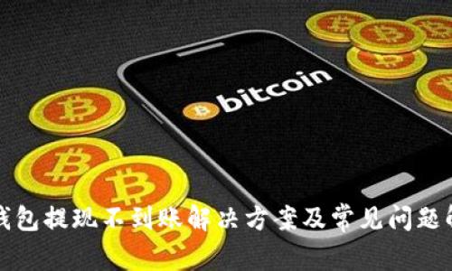TP钱包提现不到账解决方案及常见问题解析