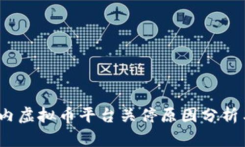 2023年国内虚拟币平台关停原因分析与影响探讨