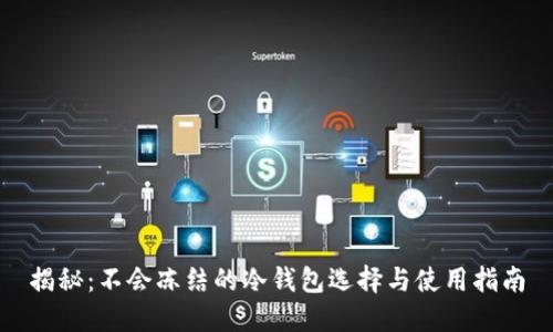 揭秘:不会冻结的冷钱包选择与使用指南