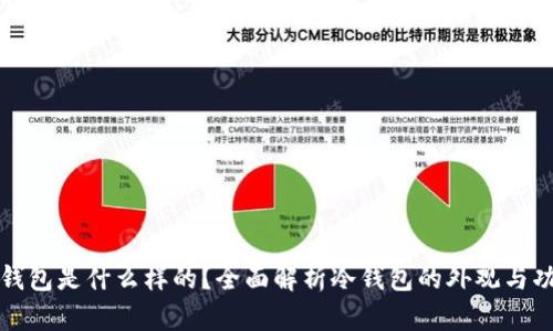 冷钱包是什么样的?全面解析冷钱包的外观与功能
