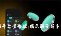 数字货币诈骗平台案告破:揭示骗子新手法与防