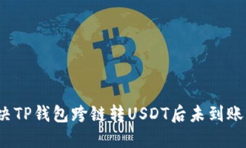 如何解决TP钱包跨链转USDT后未到账的问题?