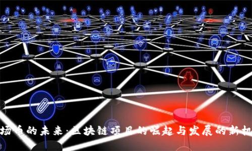 波场币的未来:区块链项目的崛起与发展的新机遇