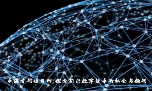币圈首码项目网:探索新兴数字货币的机会与挑战